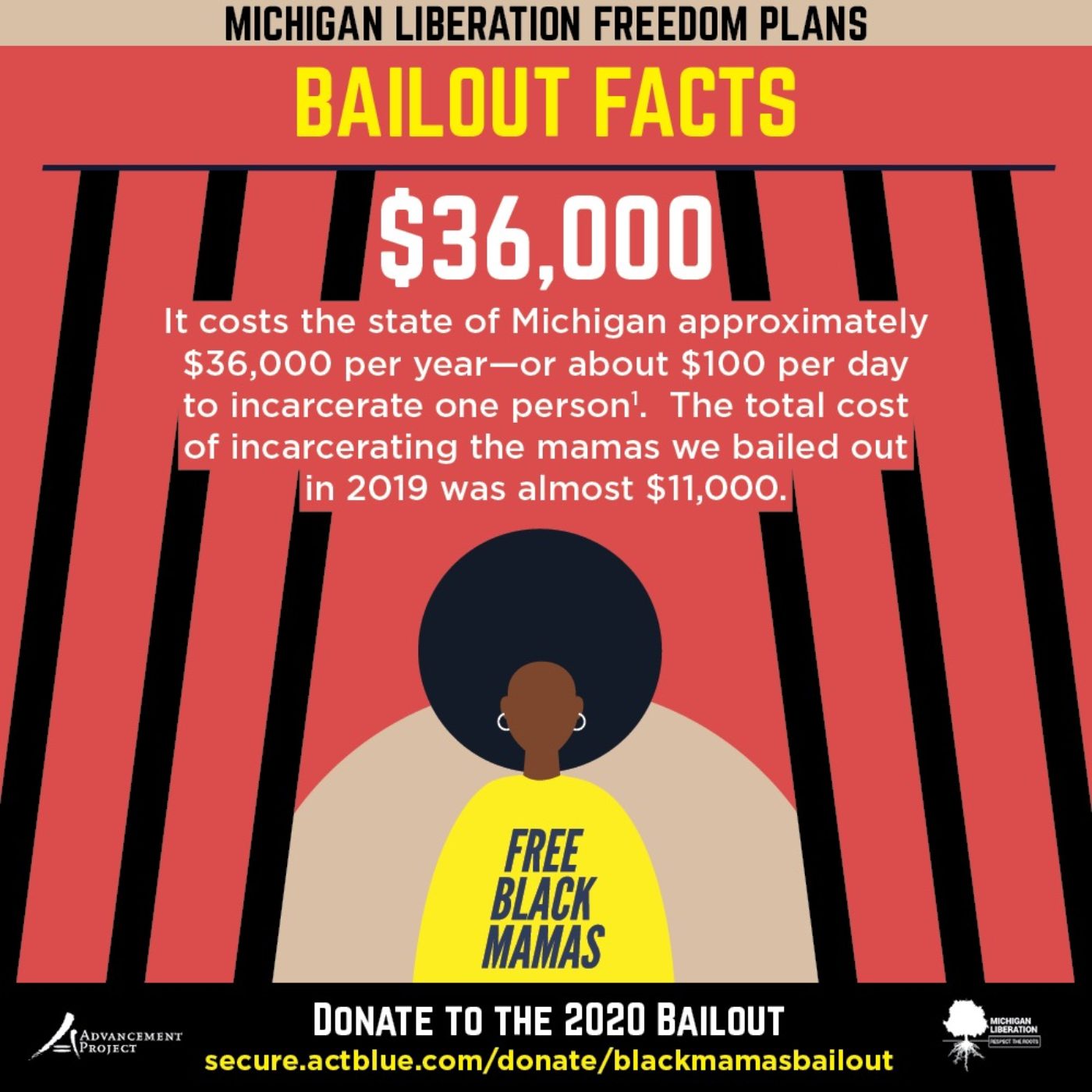 Michigan Liberation Freedom Plans Black Mama Bailout Advancement